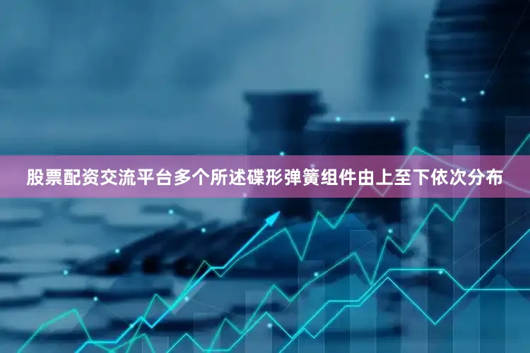 股票配资交流平台多个所述碟形弹簧组件由上至下依次分布